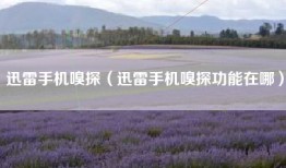 迅雷手机嗅探（迅雷手机嗅探功能在哪）