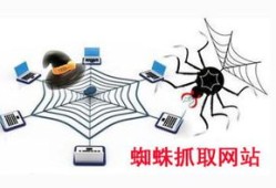 百度蜘蛛池引流：站群蜘蛛池变现，揭秘网络营销的秘密武器