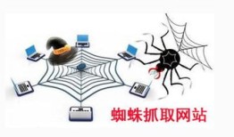 百度蜘蛛池引流：站群蜘蛛池变现，揭秘网络营销的秘密武器