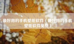 最好用的手机壁纸软件（最好用的手机壁纸软件免费）