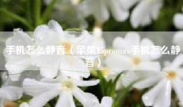手机怎么静音（苹果15promax手机怎么静音）