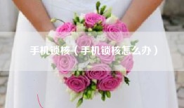手机锁核（手机锁核怎么办）