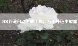SEO外链自动生成工具：万千外链生成器