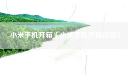 小米手机开箱（小米手机开箱评测）