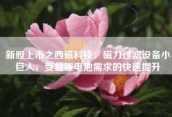 新股上市之西磁科技：磁力过滤设备小巨人，受益锂电池需求的快速提升