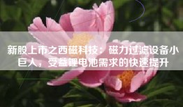 新股上市之西磁科技：磁力过滤设备小巨人，受益锂电池需求的快速提升