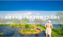 手机不好用（手机不好用了怎么办）