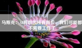 马斯克：AI将取代所有岗位，我们可能都不需要工作了