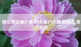 南京竟价推广多少钱,账户诊断,防恶击,竟价托管