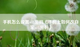 手机怎么设置wifi密码（手机上如何改自家wifi密码）