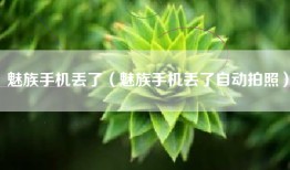 魅族手机丢了（魅族手机丢了自动拍照）