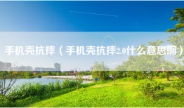 手机壳抗摔（手机壳抗摔2.0什么意思啊）