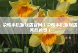 荣耀手机旗舰店官网（荣耀手机旗舰店官网首页）