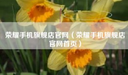 荣耀手机旗舰店官网（荣耀手机旗舰店官网首页）