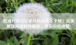 欧洲尺码与日本尺码专线不卡顿：完美解决跨国购物难题，网友纷纷点赞!