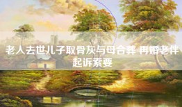 老人去世儿子取骨灰与母合葬 再婚老伴起诉索要