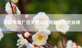 百度网盟广告关键词定向展现方式原理