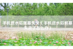 手机进水后屏幕失灵（手机进水后屏幕失灵了怎么办）