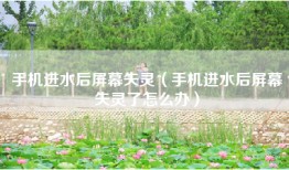 手机进水后屏幕失灵（手机进水后屏幕失灵了怎么办）