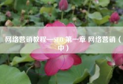 网络营销教程—SEO 第一章 网络营销（中）