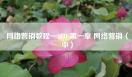 网络营销教程—SEO 第一章 网络营销（中）
