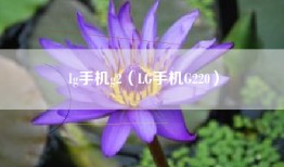 lg手机g2（LG手机G220）