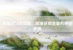 长尾词优化攻略：精准获取流量的秘密武器