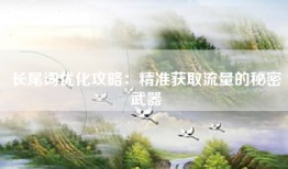 长尾词优化攻略：精准获取流量的秘密武器