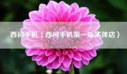 西祠手机（西祠手机第一版实体店）