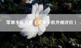 苹果手机外观（苹果手机外观评价）