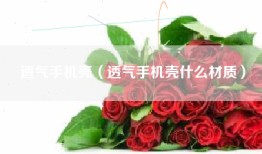 透气手机壳（透气手机壳什么材质）