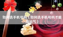 如何选手机号码（如何选手机号码才能涨运气）