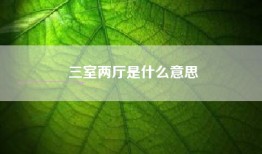 三室两厅是什么意思