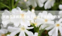 沉迷于手机的危害（沉迷于手机的危害英语）