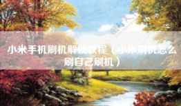 小米手机刷机解锁教程（小米刷机怎么刷自己刷机）