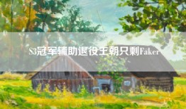 S3冠军辅助退役王朝只剩Faker