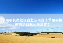 苹果手机微信语音怎么录音（苹果手机微信语音怎么录音呢）