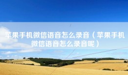 苹果手机微信语音怎么录音（苹果手机微信语音怎么录音呢）