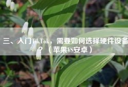三、入门TikTok，需要如何选择硬件设备？（苹果VS安卓）