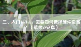 三、入门TikTok，需要如何选择硬件设备？（苹果VS安卓）