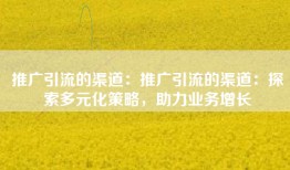 推广引流的渠道：推广引流的渠道：探索多元化策略，助力业务增长
