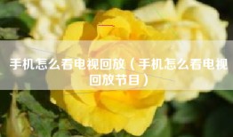 手机怎么看电视回放（手机怎么看电视回放节目）