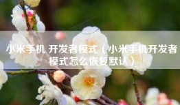 小米手机 开发者模式（小米手机开发者模式怎么恢复默认）