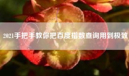 2021手把手教你把百度指数查询用到极致