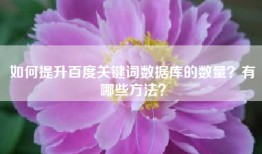 如何提升百度关键词数据库的数量？有哪些方法？