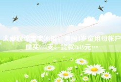 太爱海绵宝宝冰棍，美国4岁童用母帐户偷买918支、货款2619元…