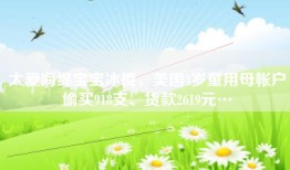 太爱海绵宝宝冰棍，美国4岁童用母帐户偷买918支、货款2619元…