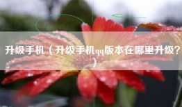 升级手机（升级手机qq版本在哪里升级？）