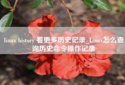 linux history 看更多历史记录_Linux怎么查询历史命令操作记录