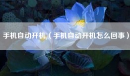 手机自动开机（手机自动开机怎么回事）